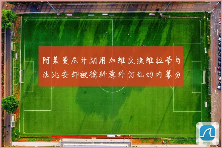 阿莱曼尼计划用加维交换维拉蒂与法比安却被德科意外打乱的内幕分析