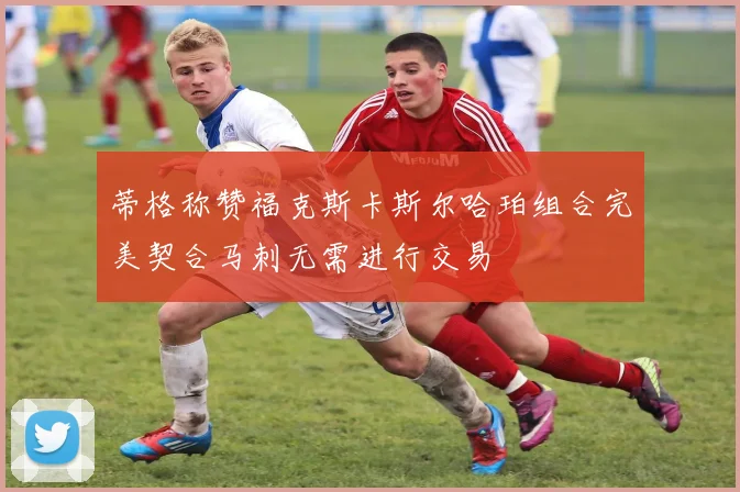 蒂格称赞福克斯卡斯尔哈珀组合完美契合马刺无需进行交易