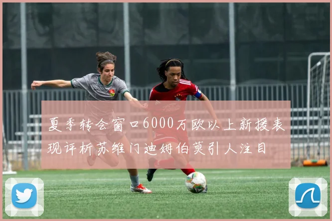 夏季转会窗口6000万欧以上新援表现评析苏维门迪姆伯莫引人注目