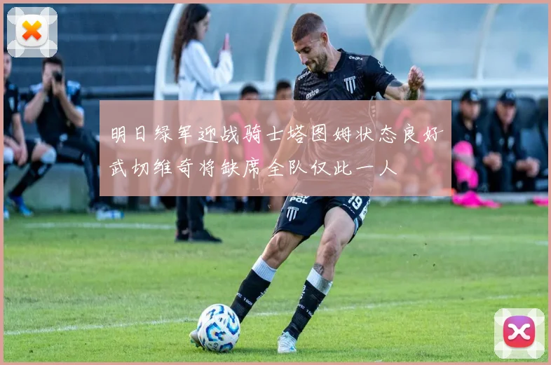 明日绿军迎战骑士塔图姆状态良好武切维奇将缺席全队仅此一人