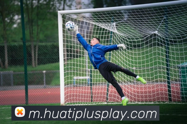 华体会体育平台生态图